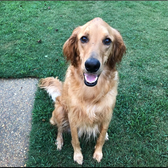 Meet your Posher, Laurie - Picture 8 of 8